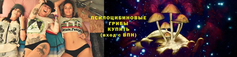 Галлюциногенные грибы Psilocybine cubensis  мориарти состав  Дагестанские Огни 